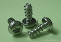 PT Screw, Thread Forming Screw for