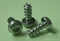 PT Screw, Thread Forming Screw for Plastics, Torx Drive Plastite Screw 