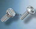 PT Screw WN1451 for fastening plastic