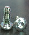 Taptite screw