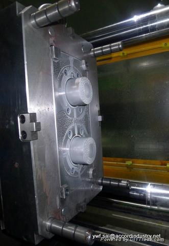 The plastic injection mould of warning light shade