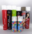 OEM brand new long lasting powerful hair spray 3