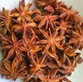 Anise Oil