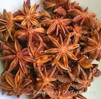 Anise Oil