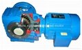 S series helical worm geared motor 2