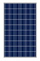 250W Poly-crystalline Silicon Photovoltaic Solar Module 1