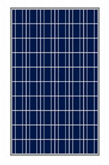 250W Poly-crystalline Silicon Photovoltaic Solar Module