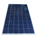 250W Poly-crystalline Silicon Photovoltaic Solar Module 3