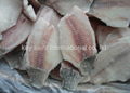 tilapia fillet 3