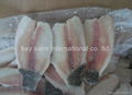 tilapia fillet 4