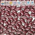 OEM/ODM grape seed Soft Gel Capsule made in China