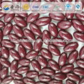 High quality grape seed Softgel Capsule