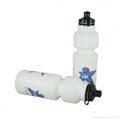 750ml PE water bottle