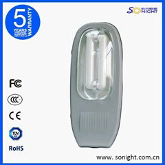 Energy Saving Induction Street Light Fixture 80W