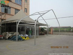18x20m Curved Tent with clear roof and sidewalls