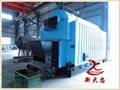 1T High quality grate steam boiler horizontal activity 2