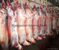 Halal Lamb Carcass