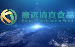 Hebei Kangyuan Islamic Food Co.,Ltd