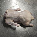 Frozen Whole Duck