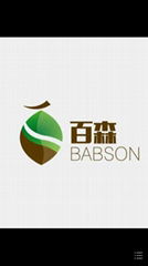 Jieyang City Babson Industry & Trade Co., Ltd 