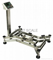 2015 Hot Sale New Design Good Quality Competive Price Bench Scale