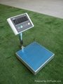 2015 Most  Welcome New Design Hot Sale Wash Down Bench Scale 4