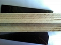 18mm black film faced plywood 3