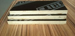 15mm black film faced plywood