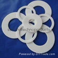 Ptfe Gasket