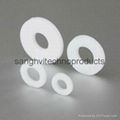 PTFE Washer