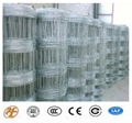 High Quality Grassland Net on Sale 2