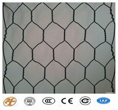 Hexagonal Gabion for Flood and River Control