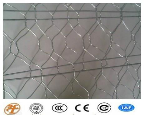 Hexagonal Gabion for Flood and River Control 4