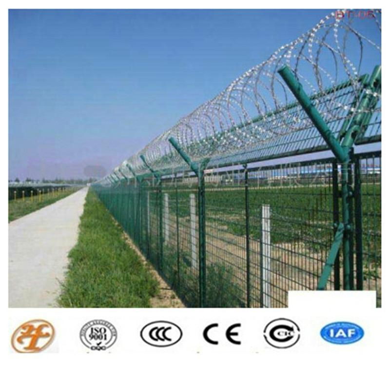 High Quality and Low Price Galvanized Razor Barbed Wire Fence