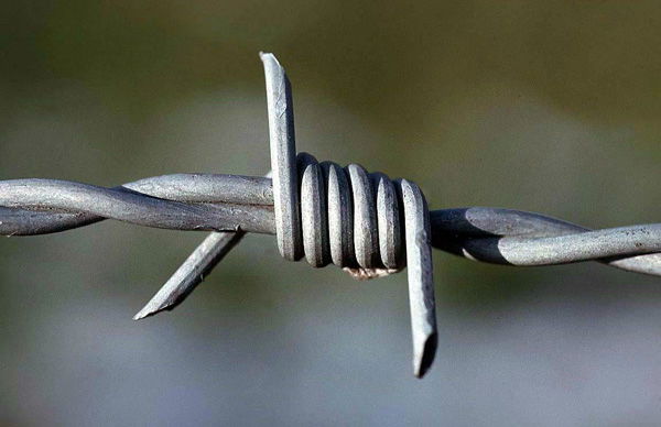 High Quality and Low Price Galvanized Razor Barbed Wire Fence 3