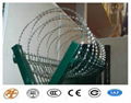 High Quality and Low Price Galvanized Razor Barbed Wire Fence 2