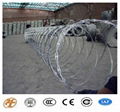 High Quality and Low Price Galvanized Razor Barbed Wire Fence 5