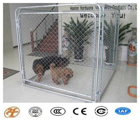 Beautifui High Quality Dog Cages Hot Sale