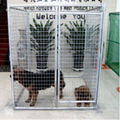 Beautifui High Quality Dog Cages Hot Sale 5