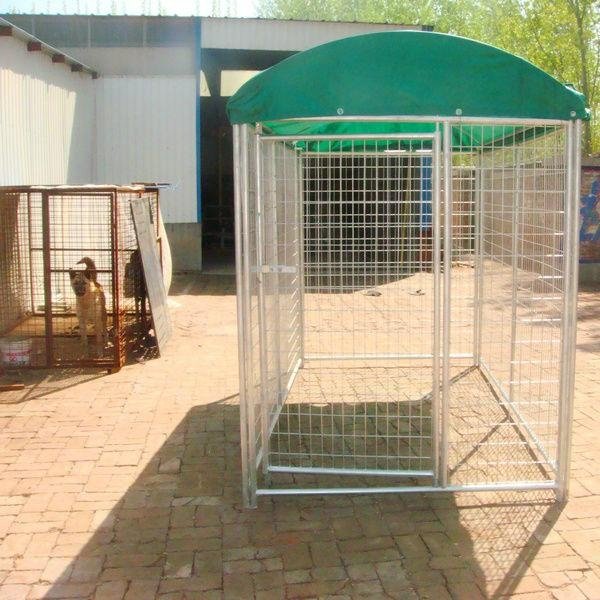 Beautifui High Quality Dog Cages Hot Sale 3