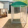 Beautifui High Quality Dog Cages Hot Sale 3