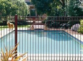 Safety Swimming Pool Steel Fence Panels for Sale 2