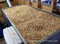 Wood Pellet 1