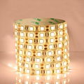 smd5050 led strip