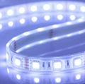 shoe led strip