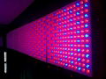 10W hydro led grow light  4