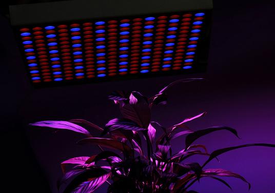 New  full spectrum 12W led grow light 2