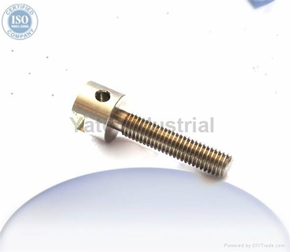 Stainless steel Screw with passviation coating 2