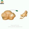 Medical science Childbirth Training manikin 3