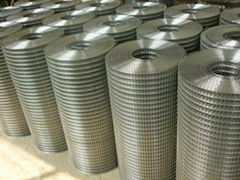 Hot Dipped Galvanized Welded Wire Mesh